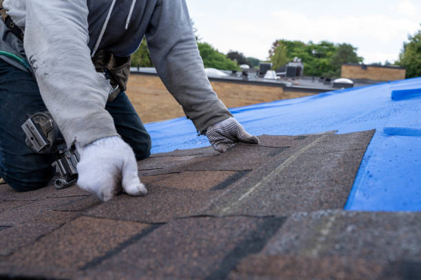 Best Roof Maintenance Services  in Kings Park West, VA